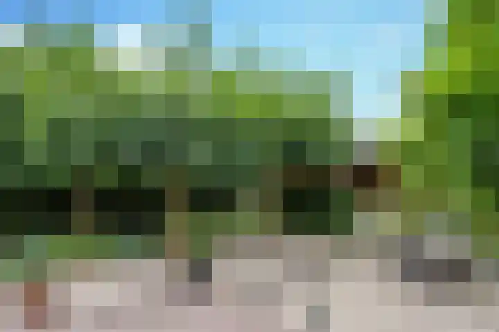 Pastoor van Doornstraat 55 Uden thumbnail 7
