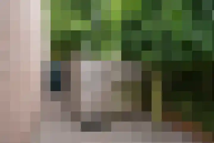 Pastoor van Doornstraat 55 Uden thumbnail 9