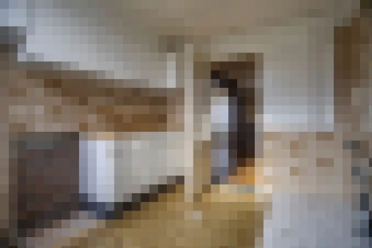 Pastoor van Dunstraat 7 Goirle thumbnail 16