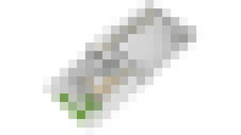 Pastoor van Dunstraat 7 Goirle thumbnail 52
