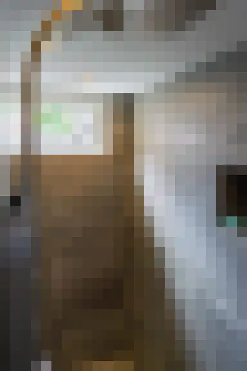 Pastoor Van Eekelenstraat 12 Bergen op Zoom thumbnail 11