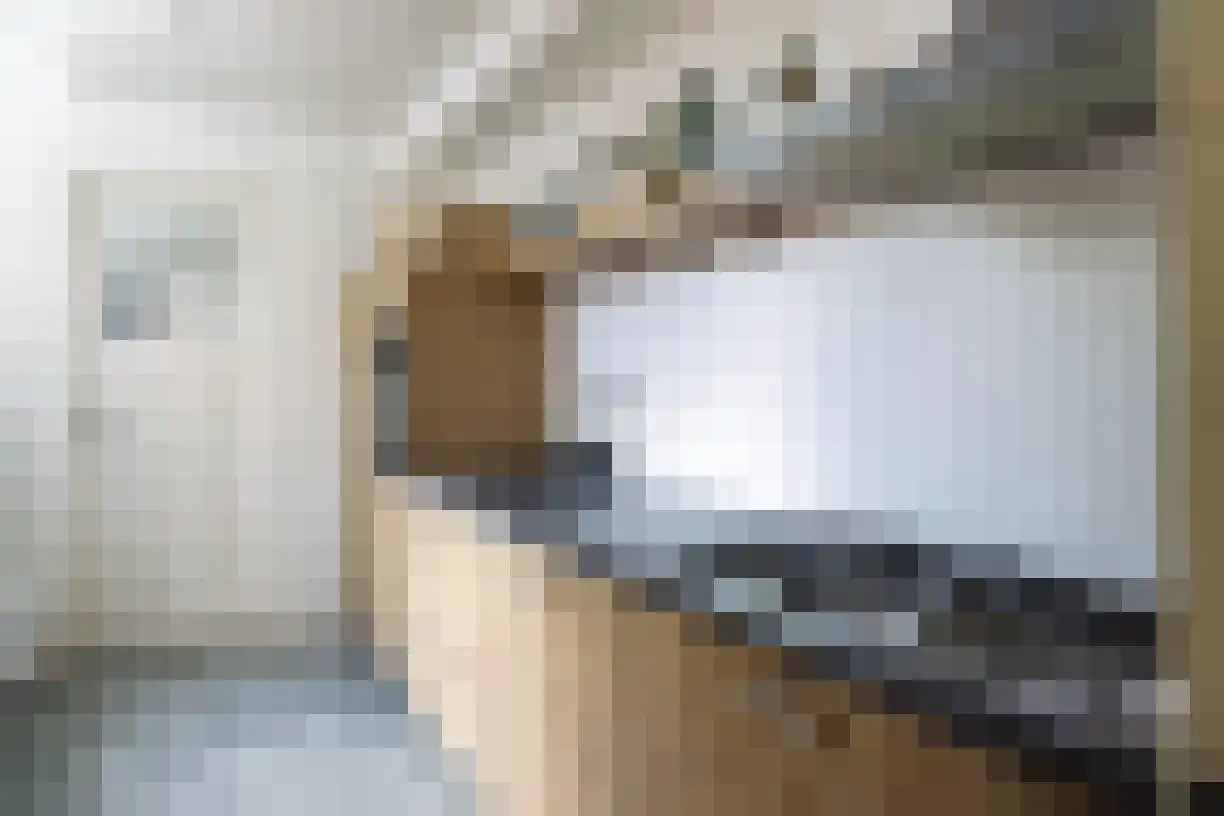 Pastoor Van Eekelenstraat 12 Bergen op Zoom thumbnail 8