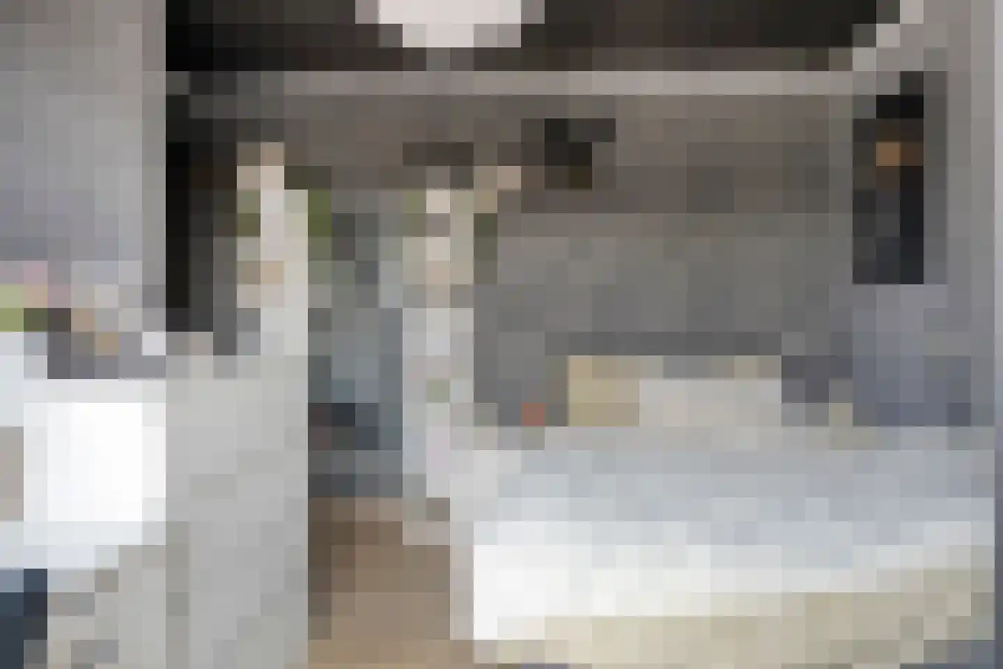Pastoor Van Eekelenstraat 22 Bergen op Zoom thumbnail 18