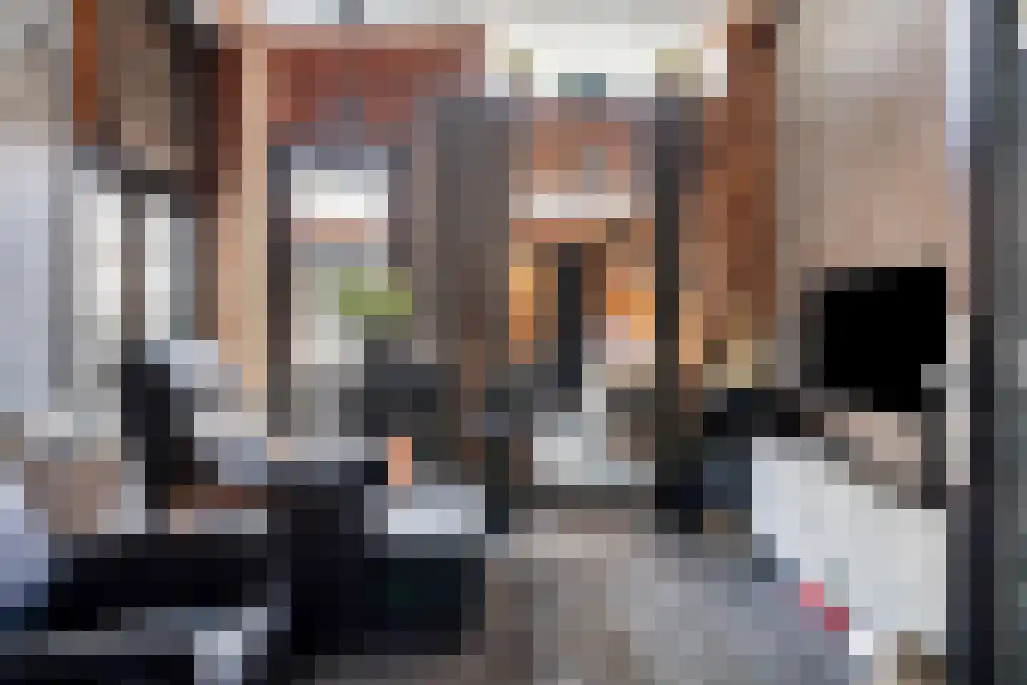 Pastoor Van Eekelenstraat 22 Bergen op Zoom thumbnail 9