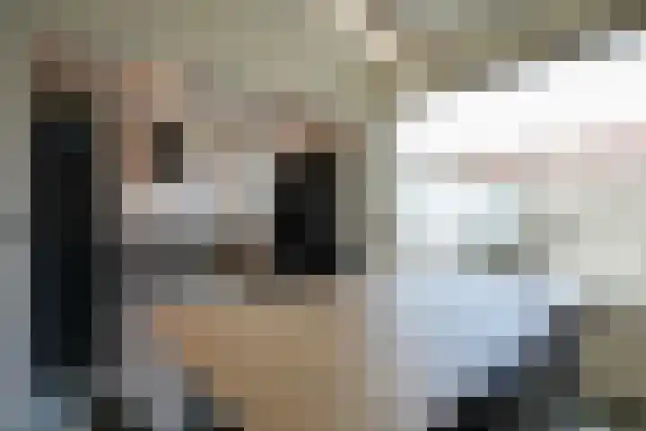 Pastoor van Eijsstraat 50 Geleen thumbnail 4