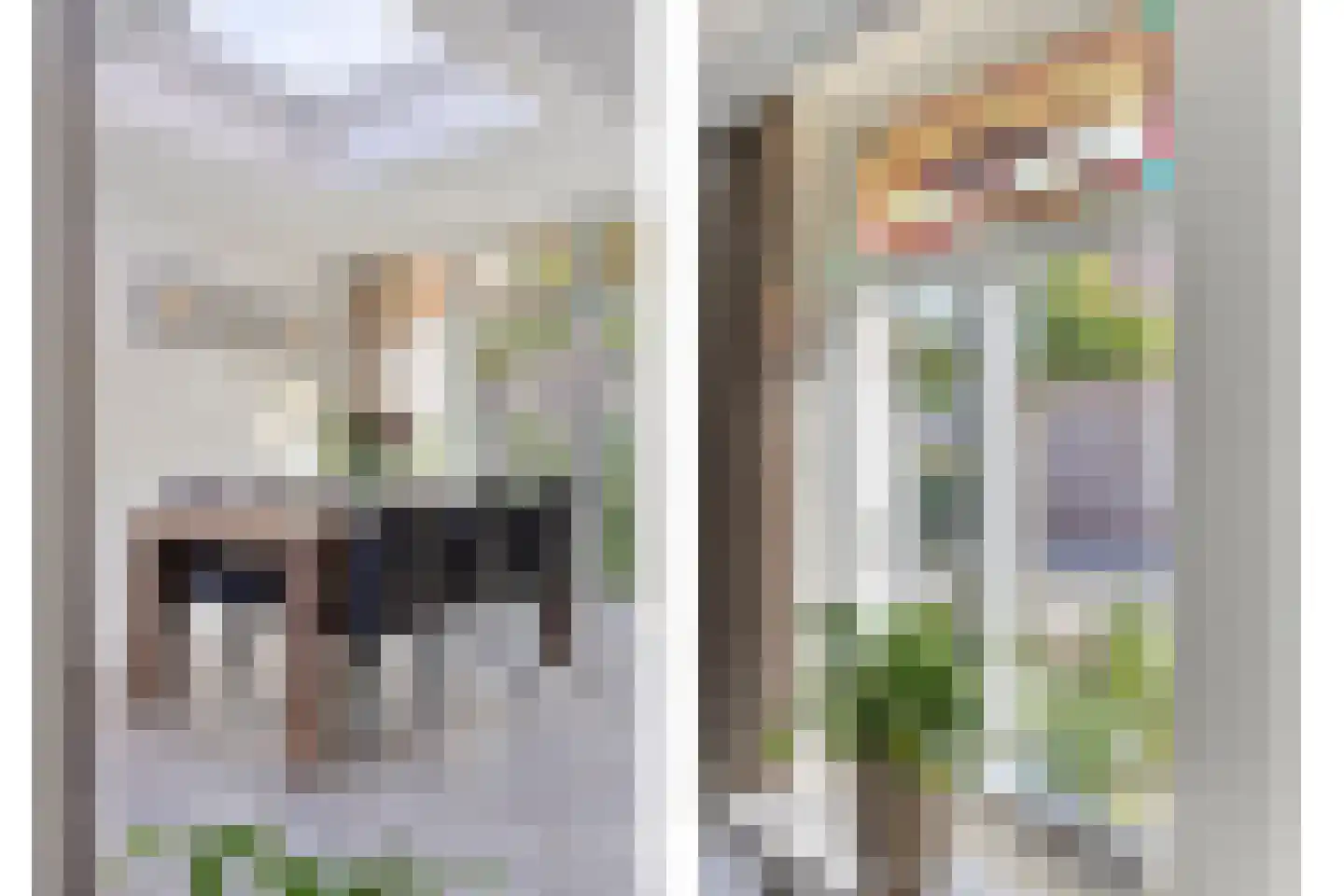 Pastoor van Erpstraat 18 Sint Anthonis thumbnail 12