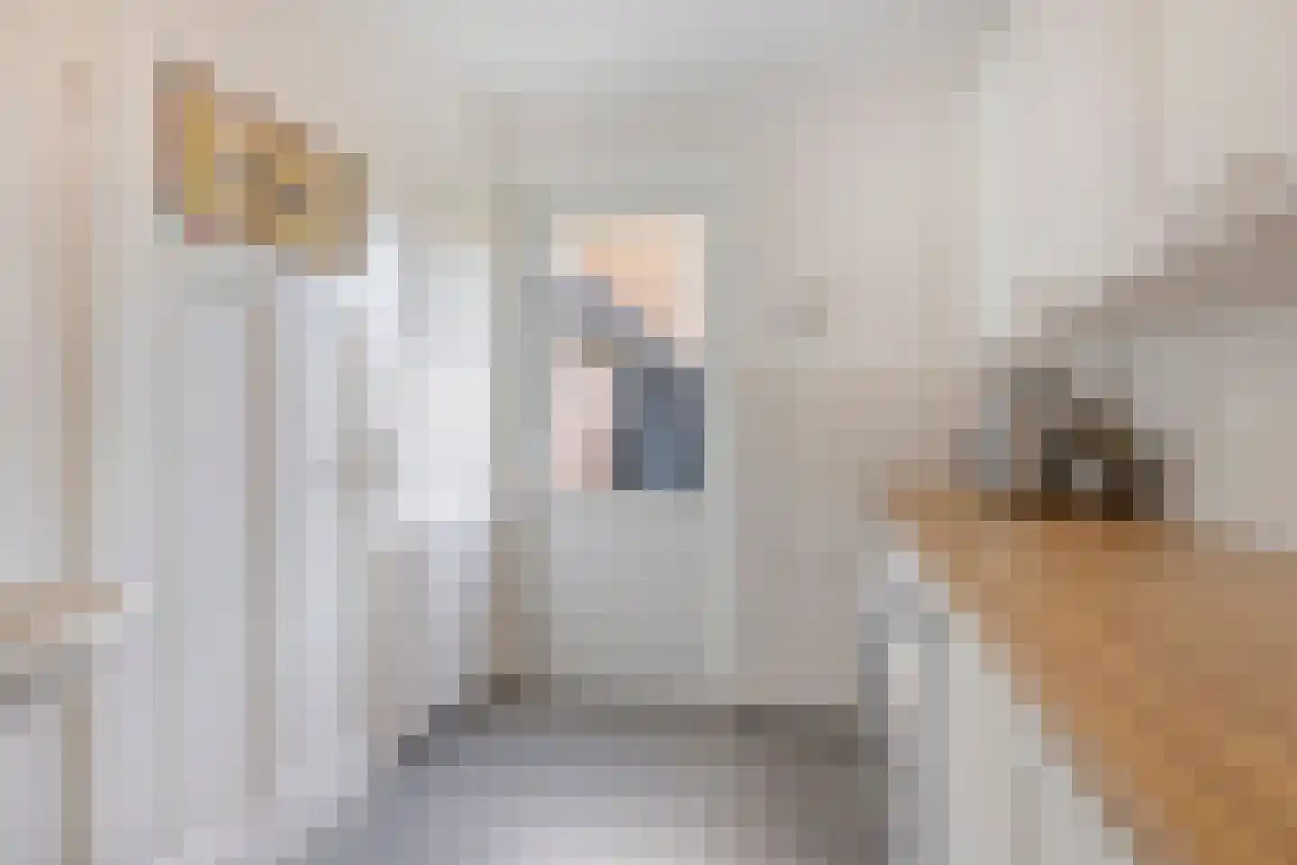 Pastoor van Erpstraat 18 Sint Anthonis thumbnail 21