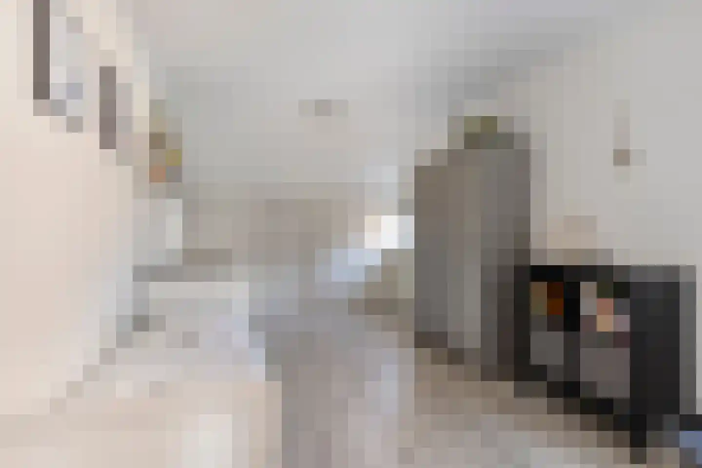 Pastoor van Erpstraat 18 Sint Anthonis thumbnail 24