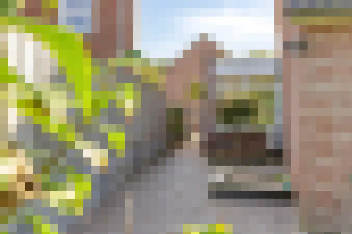 Pastoor van Erpstraat 18 Sint Anthonis thumbnail 36