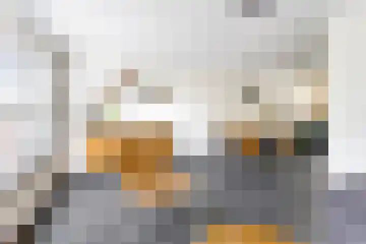 Pastoor van Erpstraat 5 Sint Anthonis thumbnail 5