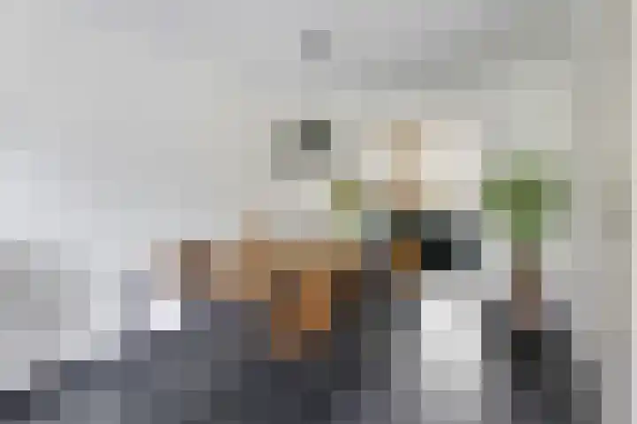 Pastoor van Erpstraat 5 Sint Anthonis thumbnail 6
