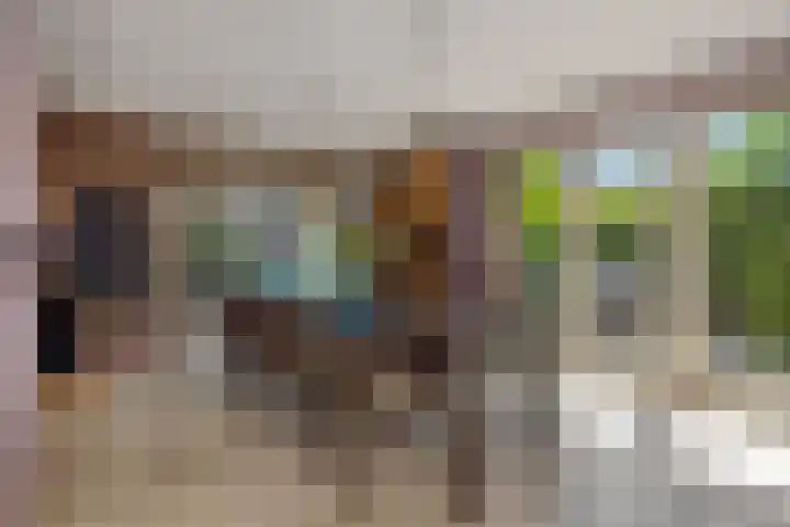 Pastoor van Ervenstraat 1 Ommel thumbnail 7