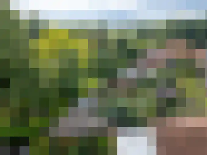 Pastoor van Ettenstraat 5 Schijf thumbnail 10