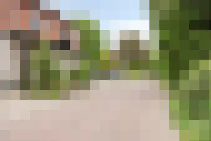Pastoor van Ettenstraat 5 Schijf thumbnail 13
