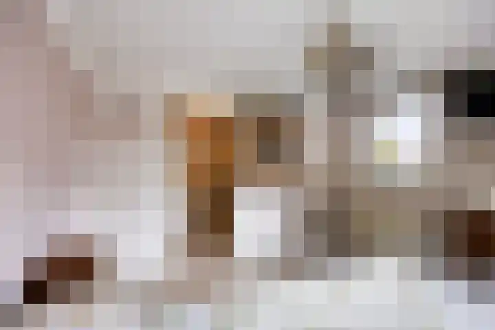 Pastoor van Ettenstraat 5 Schijf thumbnail 34