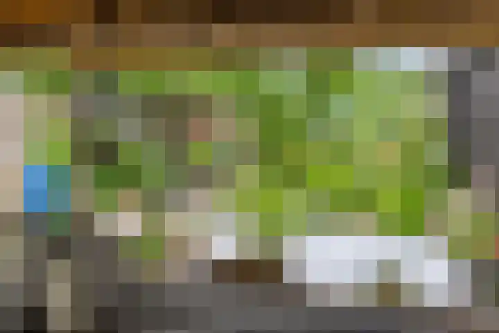 Pastoor van Ettenstraat 5 Schijf thumbnail 47