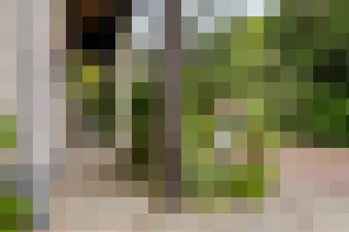 Pastoor van Ettenstraat 5 Schijf thumbnail 58