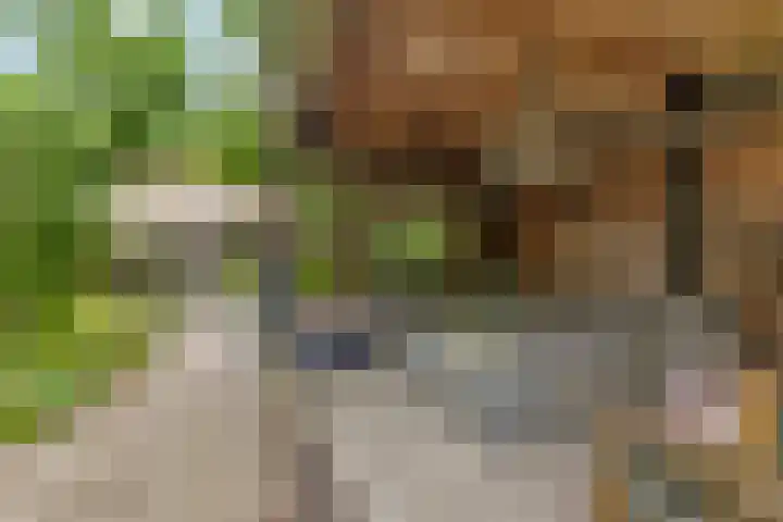 Pastoor van Ettenstraat 5 Schijf thumbnail 6