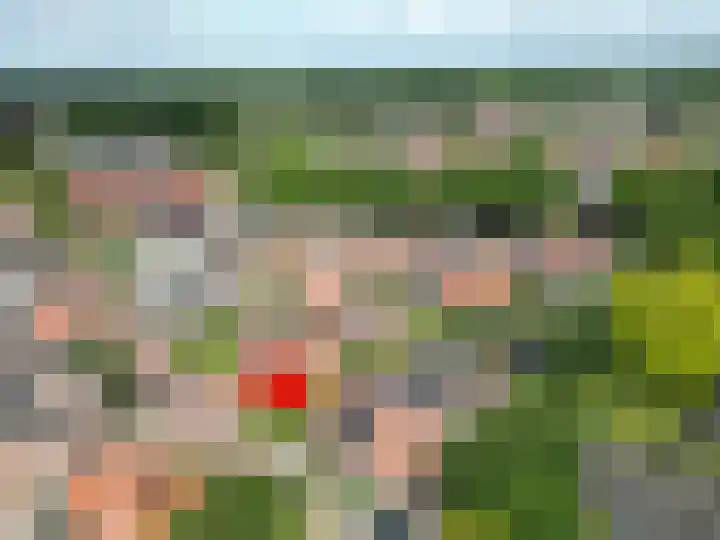 Pastoor van Ettenstraat 5 Schijf thumbnail 9