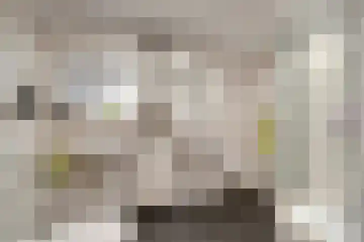 Pastoor van Geldropstraat 35 Schijndel thumbnail 4