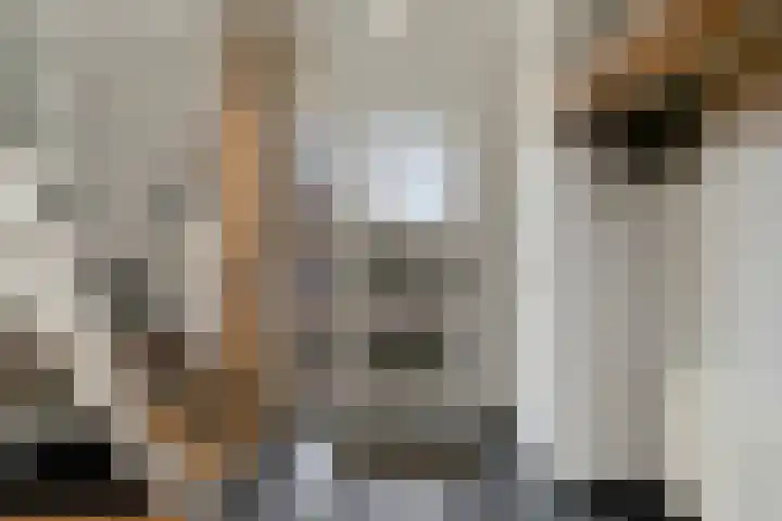 Pastoor van Geldropstraat 35 Schijndel thumbnail 7