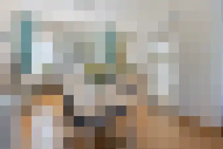 Pastoor van Geldropstraat 4 Schijndel thumbnail 7