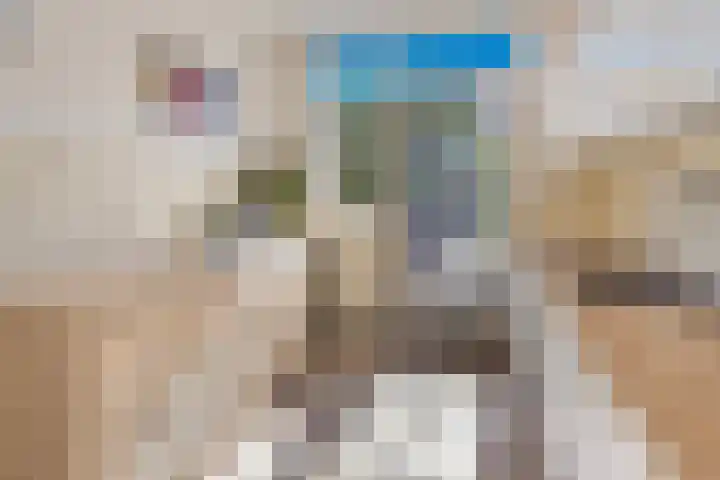 Pastoor van Geldropstraat 4 Schijndel thumbnail 8