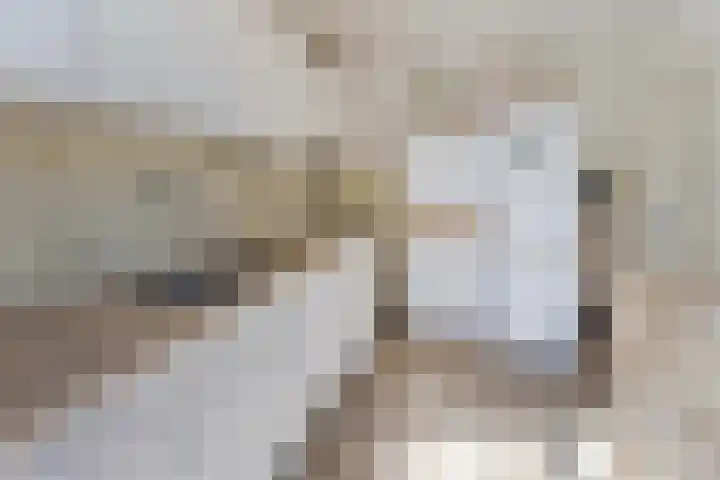 Pastoor van Geldropstraat 4 Schijndel thumbnail 9