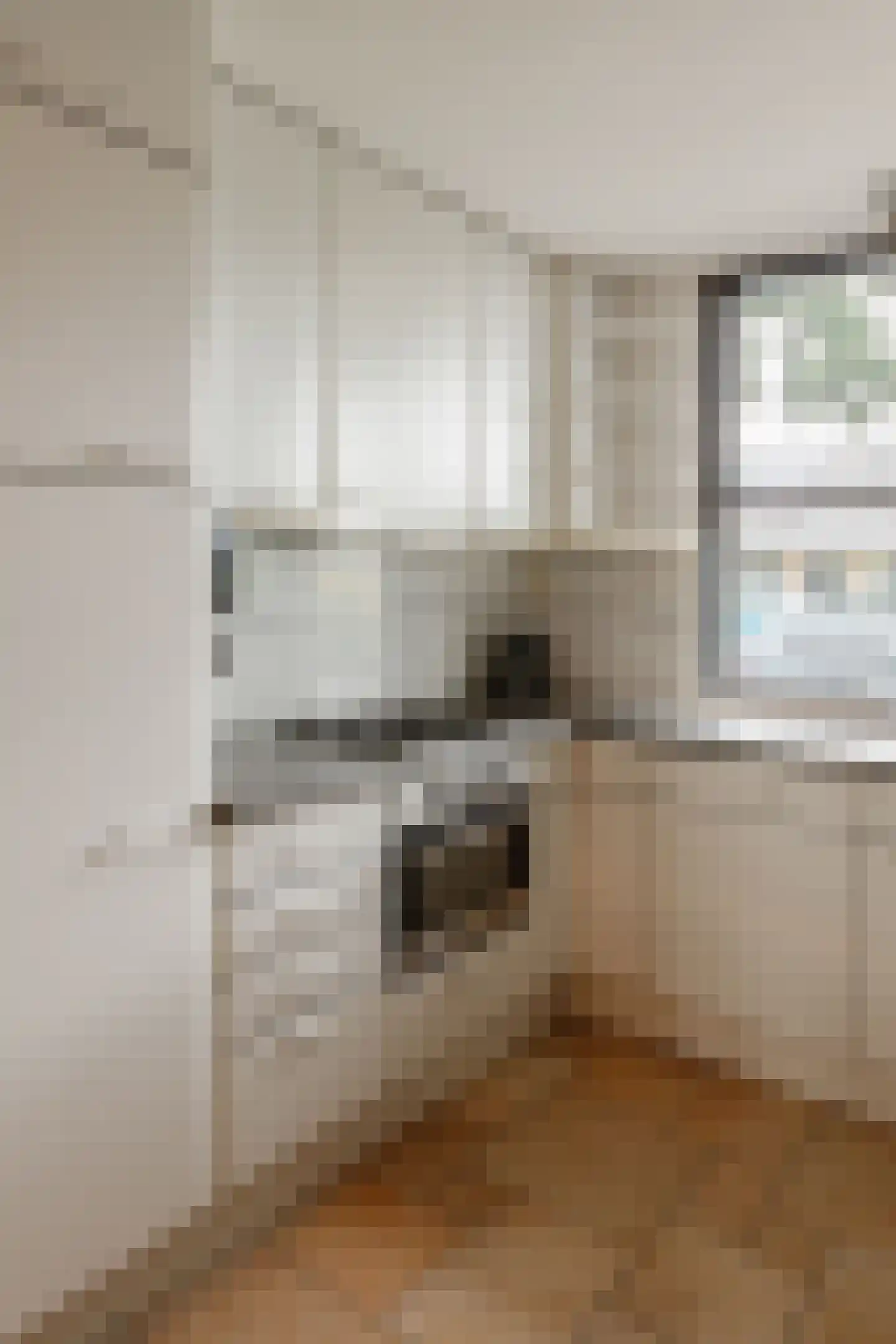 Pastoor Van Gervenstraat 18 Assendelft thumbnail 14