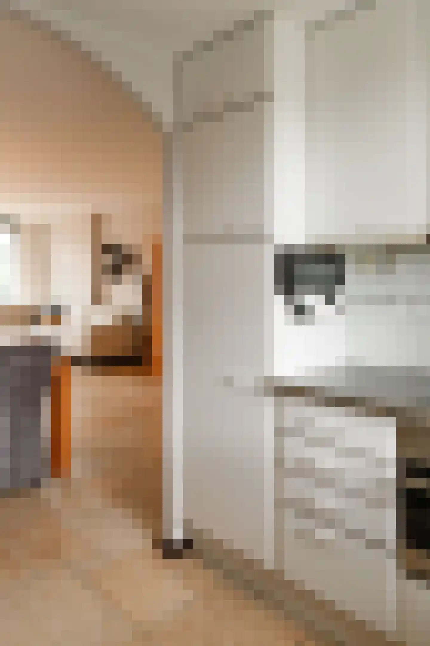 Pastoor Van Gervenstraat 18 Assendelft thumbnail 15