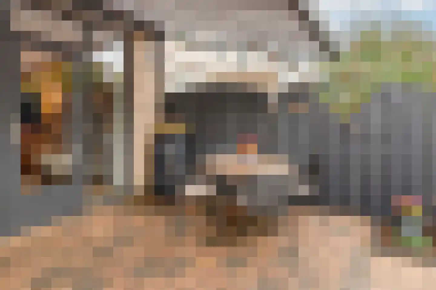 Pastoor Van Gervenstraat 18 Assendelft thumbnail 21