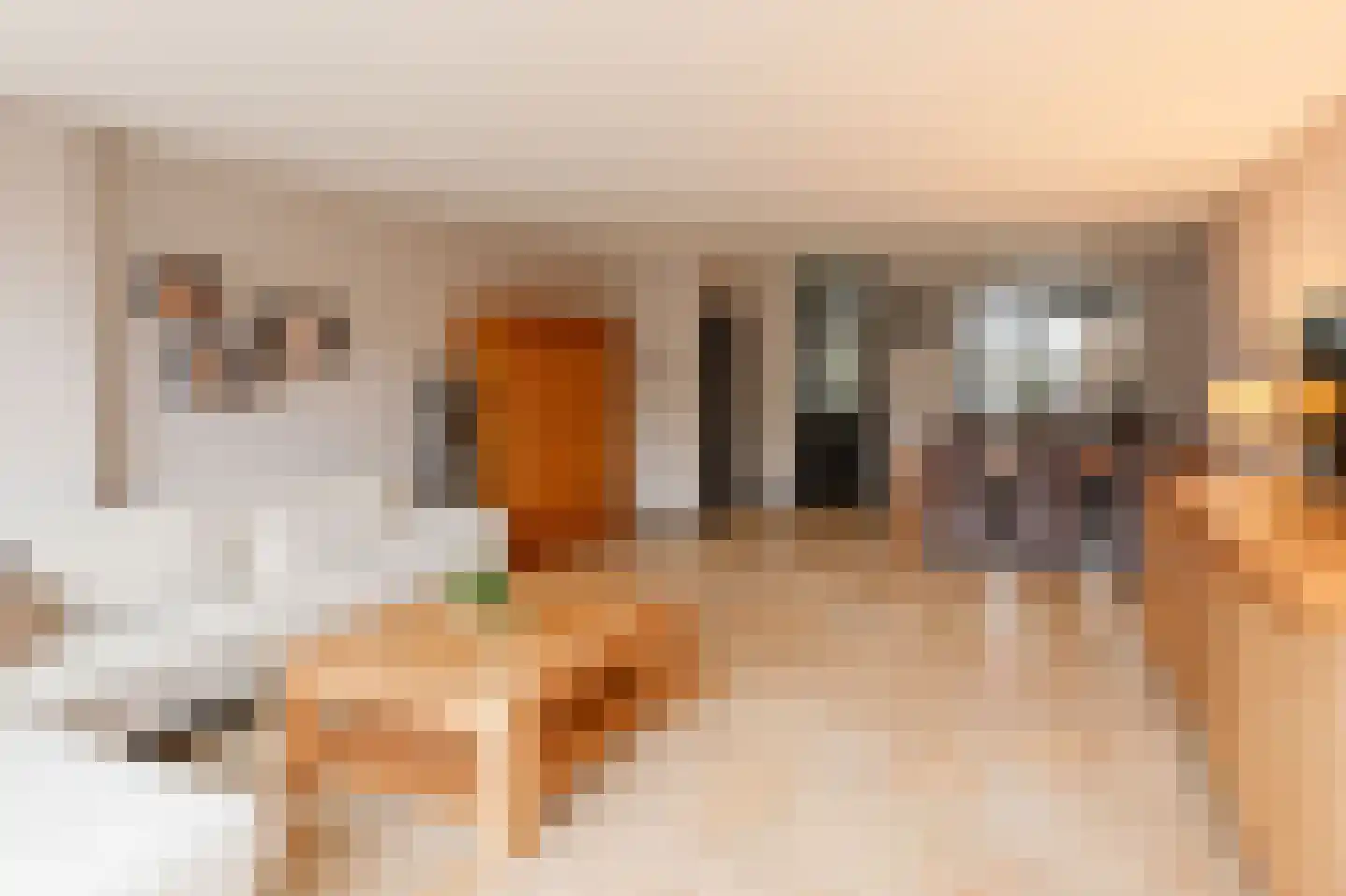 Pastoor Van Gervenstraat 18 Assendelft thumbnail 5
