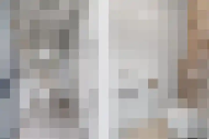 Pastoor Van Gervenstraat 2 Assendelft thumbnail 10
