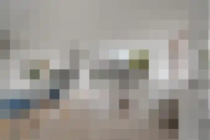 Pastoor Van Gervenstraat 2 Assendelft thumbnail 11