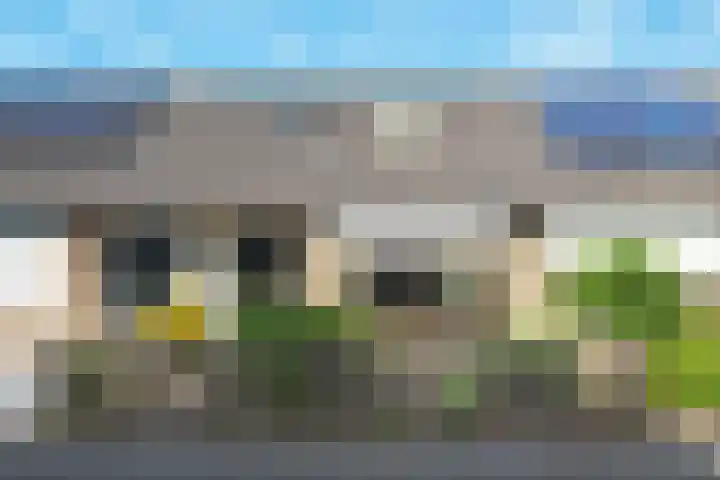 Pastoor Van Gervenstraat 21 Assendelft thumbnail 29