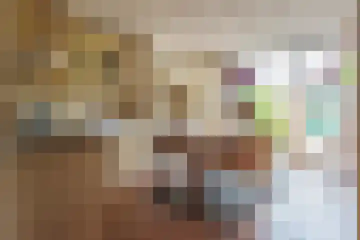 Pastoor Van Gervenstraat 21 Assendelft thumbnail 8