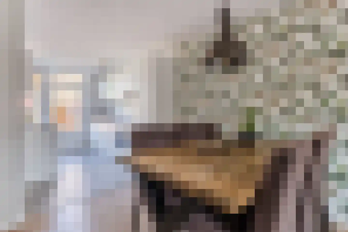 Pastoor Van Gervenstraat 25 Assendelft thumbnail 9