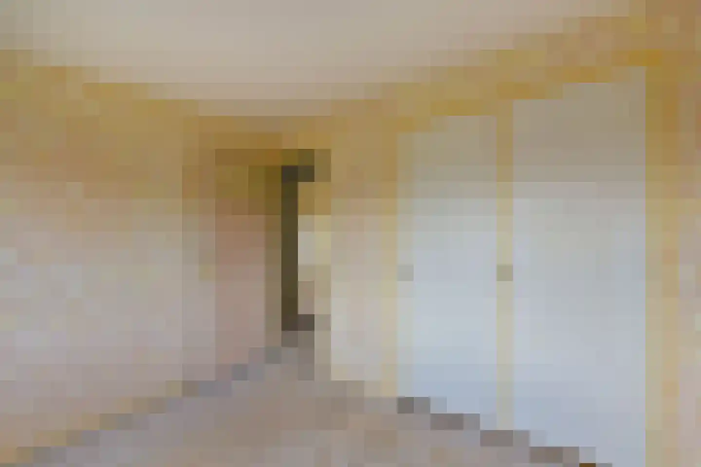 Pastoor van Haasterstraat 29 Ursem thumbnail 16