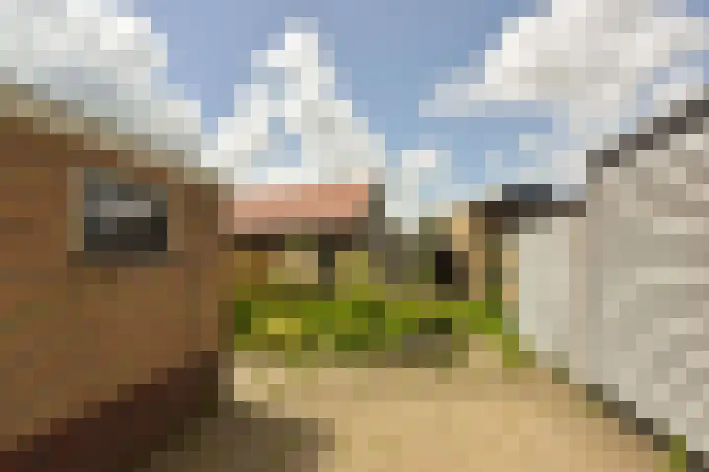 Pastoor van Haasterstraat 29 Ursem thumbnail 23