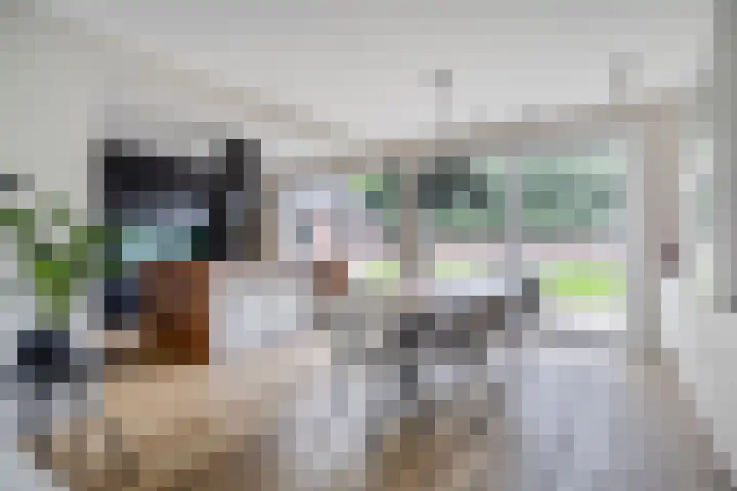 Pastoor van Hapertstraat 17 Lith thumbnail 10