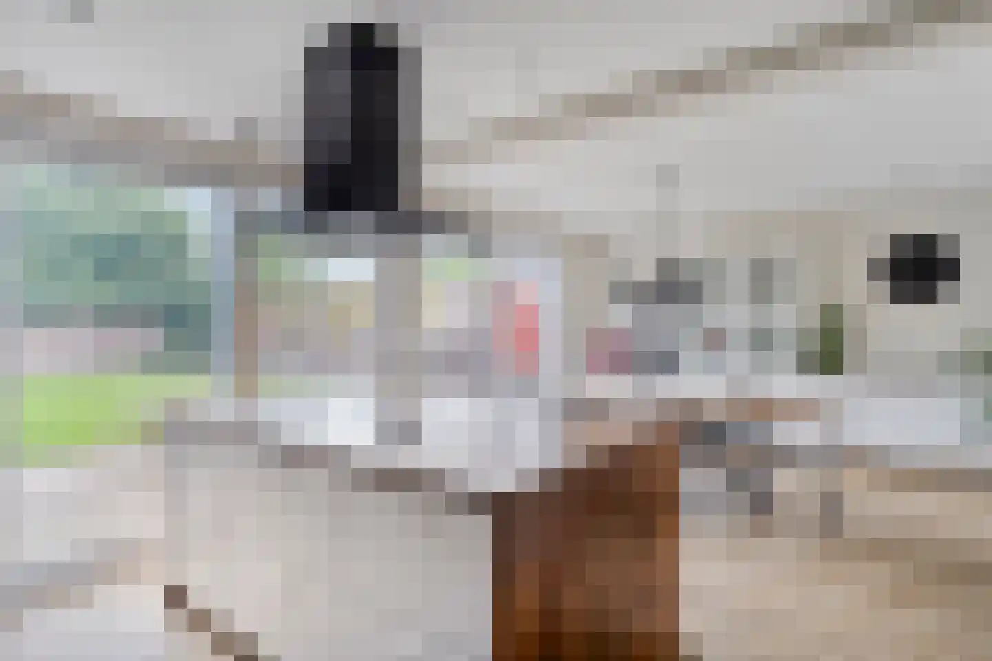 Pastoor van Hapertstraat 17 Lith thumbnail 14