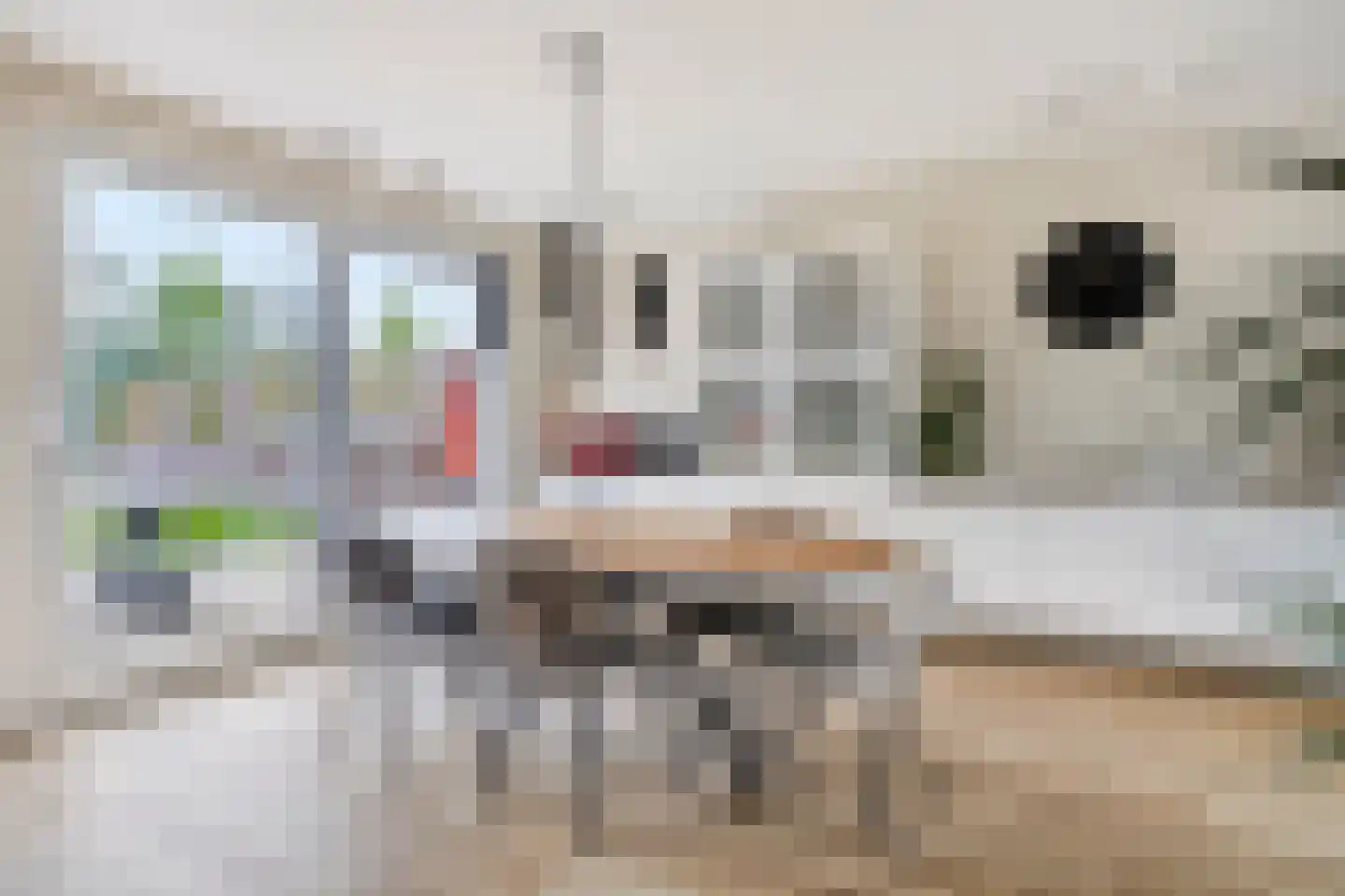 Pastoor van Hapertstraat 17 Lith thumbnail 15