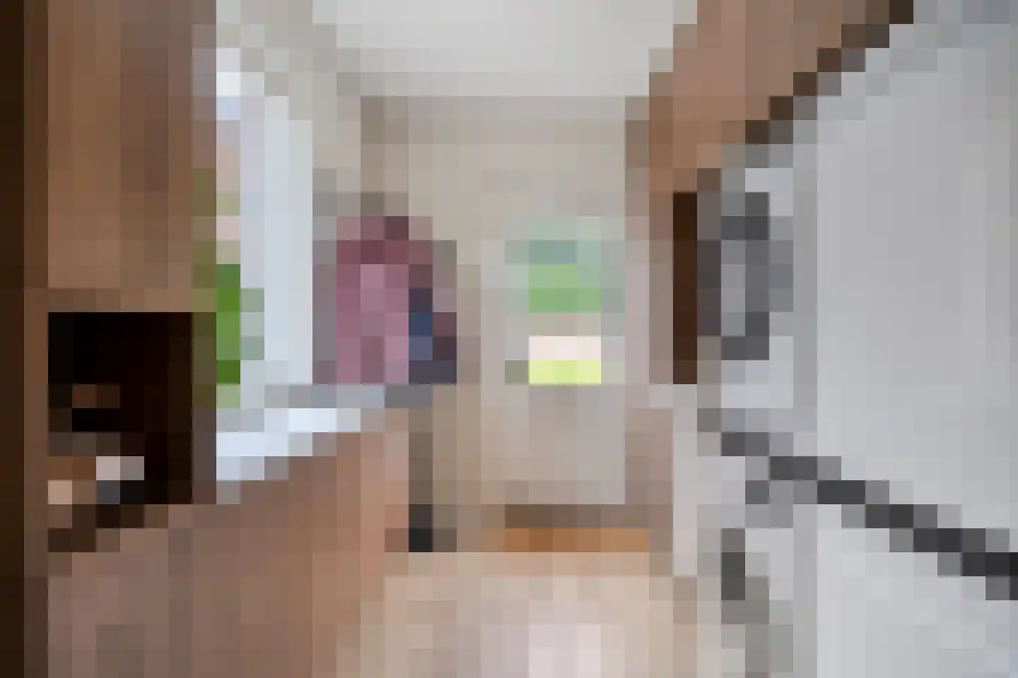 Pastoor van Hapertstraat 17 Lith thumbnail 21