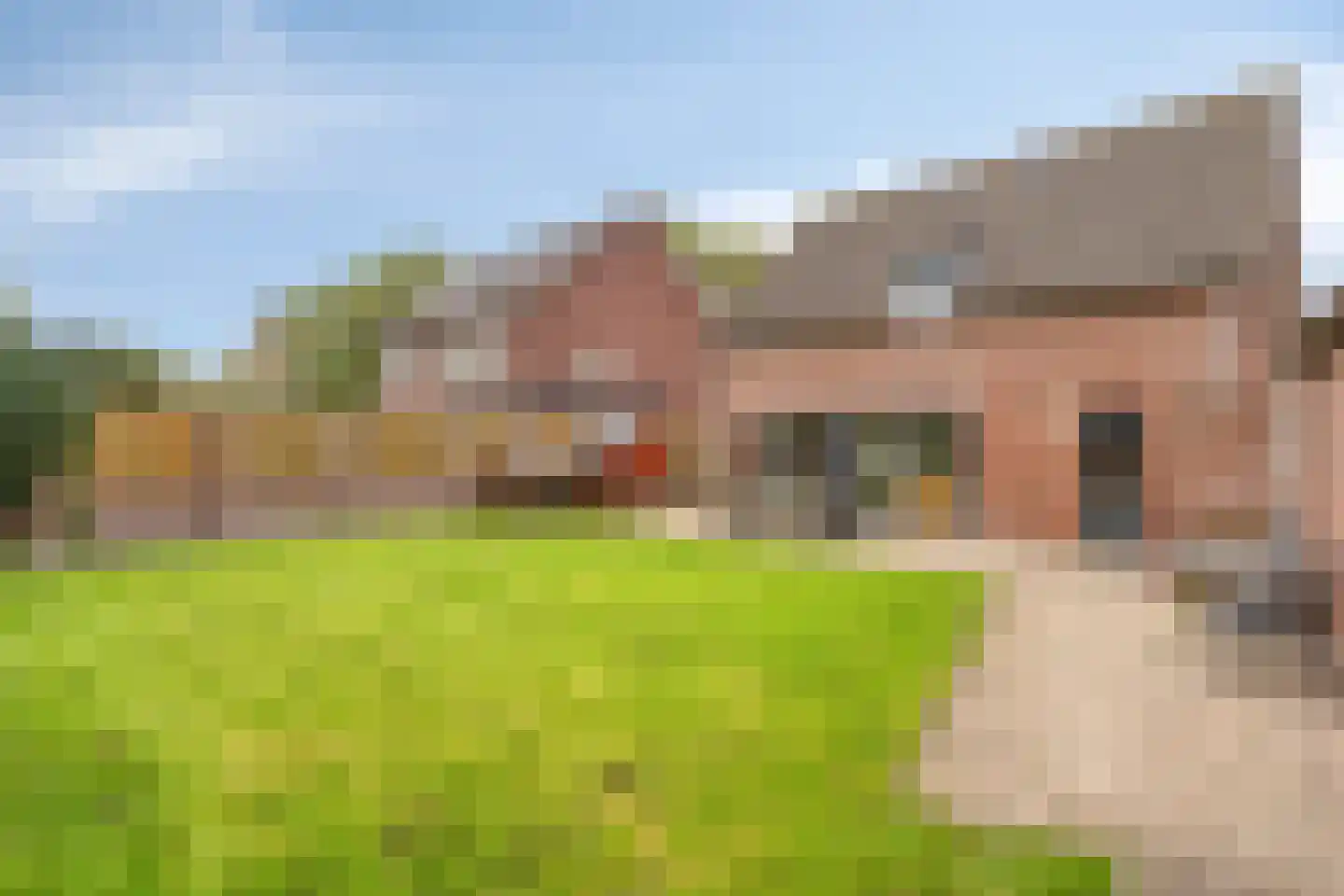 Pastoor van Hapertstraat 17 Lith thumbnail 25