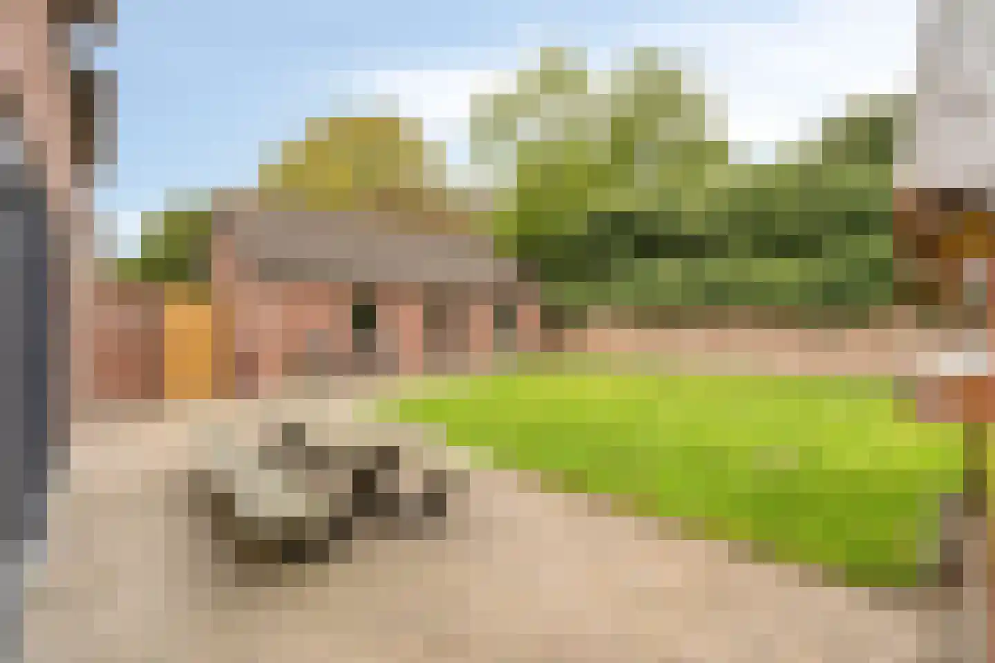 Pastoor van Hapertstraat 17 Lith thumbnail 27