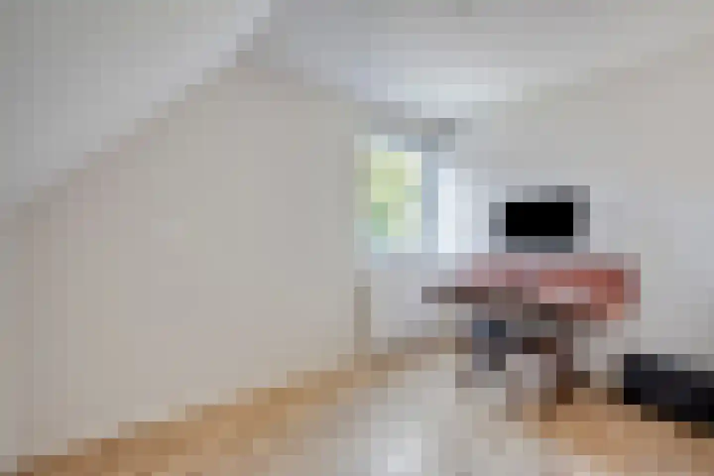 Pastoor van Hapertstraat 17 Lith thumbnail 33