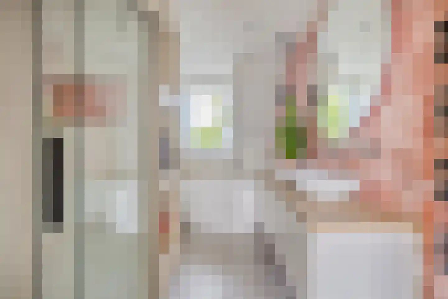 Pastoor van Hapertstraat 17 Lith thumbnail 4