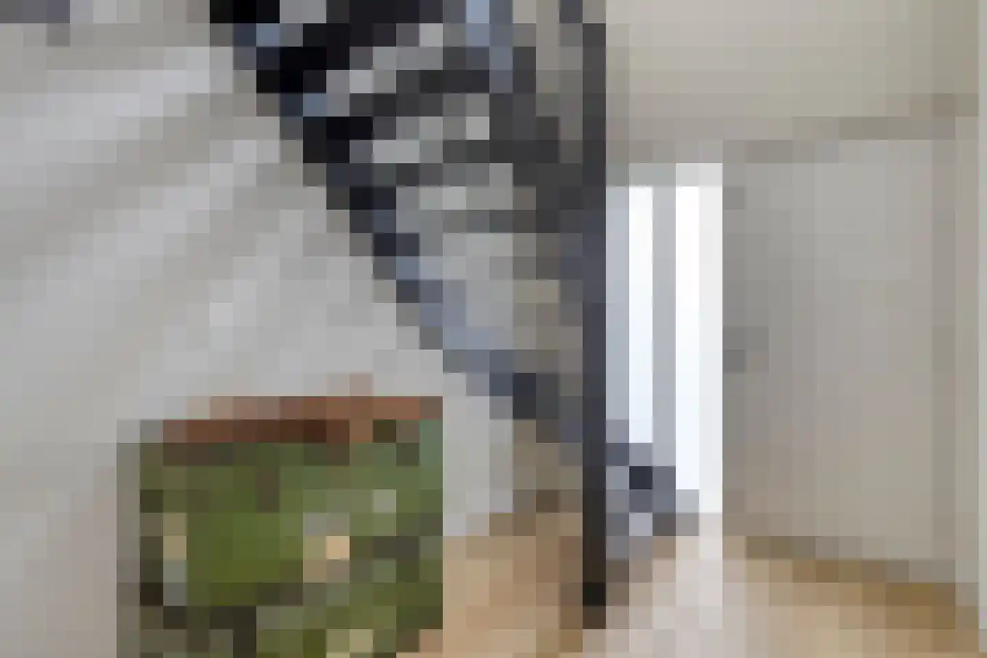 Pastoor van Hapertstraat 17 Lith thumbnail 7