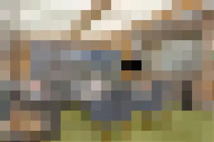 Pastoor van Hapertstraat 31 Lith thumbnail 14