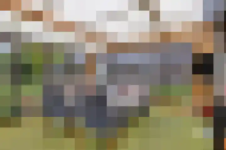 Pastoor van Hapertstraat 31 Lith thumbnail 15